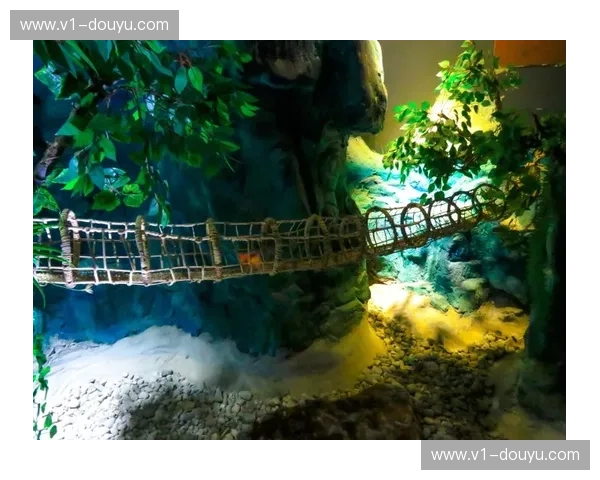 2017:一场不为人知的“平行时空”对决——印度与中国,巨龙与大象的交响曲 2017:一场不为人知的“平行时空”对决——印度与中国,巨龙与大象的交响曲